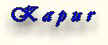 arti_kapur.jpg (2486 bytes)