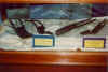 foto25.jpg (98905 bytes)