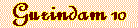 guri10.IND.gif (1433 bytes)