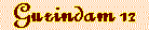 guri12.IND.gif (1417 bytes)