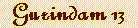 guri13.IND.gif (1422 bytes)