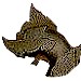 icon_kacip2.jpg (3284 bytes)