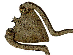 kacip45.jpg (16320 bytes)