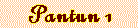 pan1.IND.gif (1312 bytes)