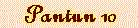 pan10.IND.gif (1360 bytes)