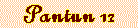 pan12.IND.gif (1361 bytes)
