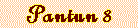 pan8.IND.gif (1357 bytes)
