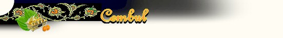 tit-cembul.jpg (12164 bytes)