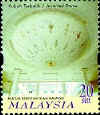 stem5.jpg (19785 bytes)