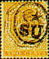 stem80.jpg (46994 bytes)