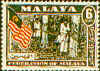 stem91.jpg (18191 bytes)